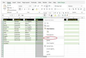 Image result for Excel Tables Tutorial Text