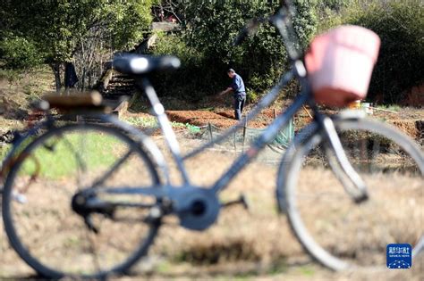 聊城：人勤春来早 田间农事忙_手机新浪网