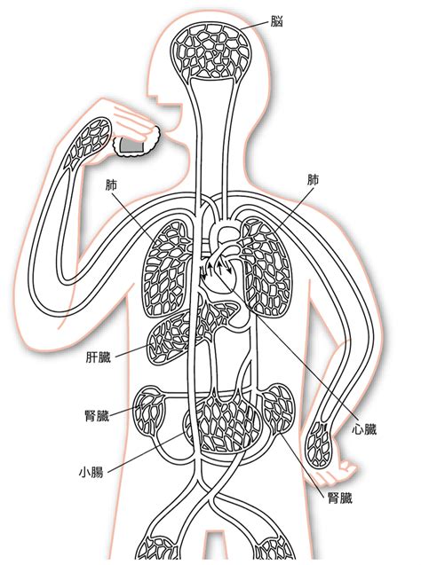 2-2-3-2（2p108-110 – 中学校理科教科書Web版、学校図書