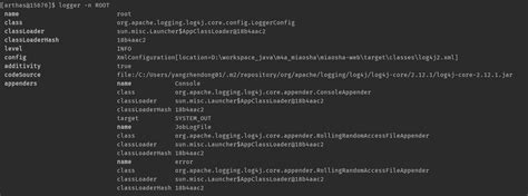 Java Logger 的图像结果