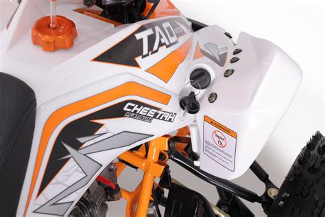 Tao Motor 125 Cheetah Platinum ATV