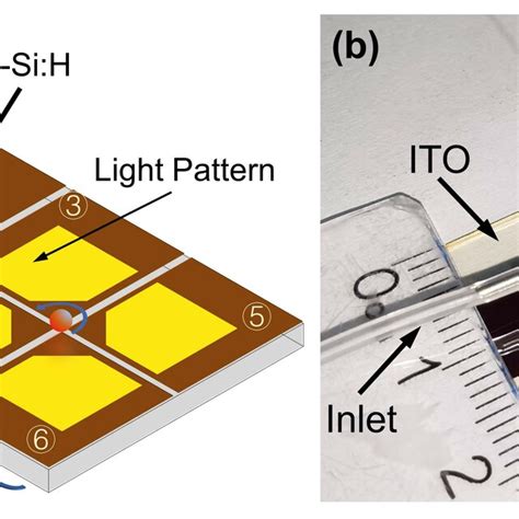 Microfluidic Chip 的图像结果