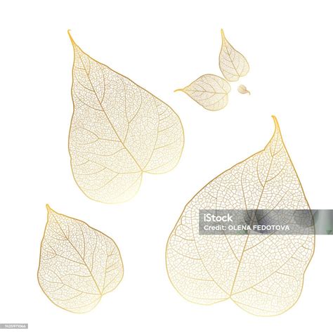 Set Leaves Of Gold On White Vector Illustration Stock Illustration ...