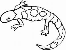 malvorlagen gratis gecko gecko ausmalbilder malvorlagen 100 kostenlos malvorlagen gratis gecko gecko ausmalbilder malvorlagen 100 kostenlos