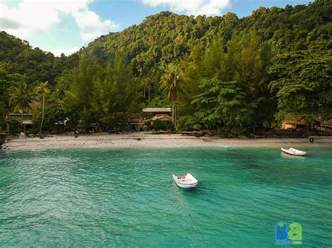 FREEDIVE WEH (2026) All You Need to Know BEFORE You Go (with Photos ...