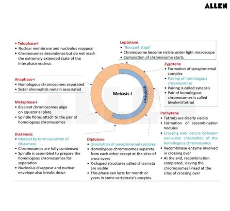 Cell Cycle and Cell Division: Mitosis, Meiosis, Cytokinesis and ...