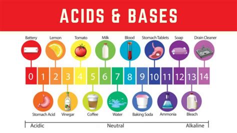 Image result for Class 7 Acid Chemical Formulas