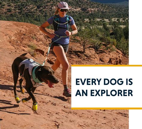 Buy RUFFWEAR, Swamp Cooler Dog Harness, Lightweight with Evaporative ...