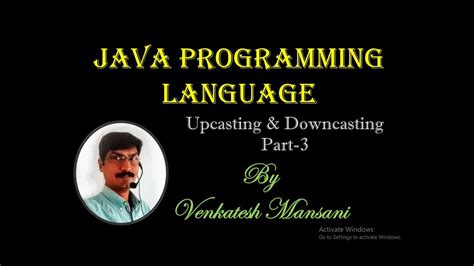 Downcasting Python 的图像结果