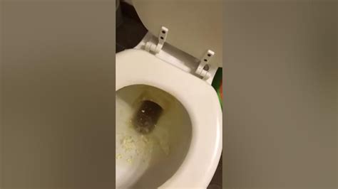 Image result for Modeling Paste Craft Ideas