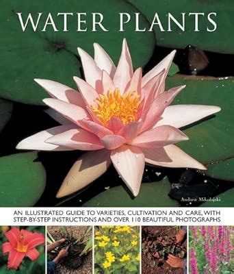 Buy Water Plants Book Online at Low Prices in India | Water Plants ...