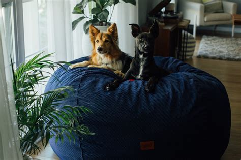CordaRoy's Bean Bag Full Size Chenille | eBay