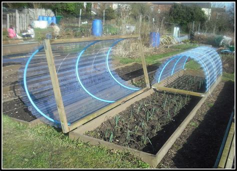 Image result for PVC Pipe Cold Frame