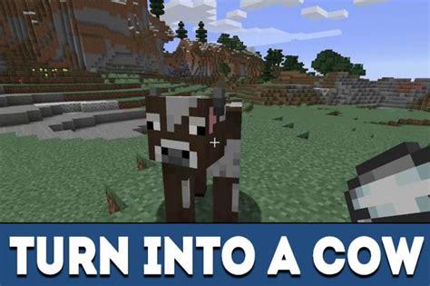 Image result for Morph Evolution Mod Minecraft