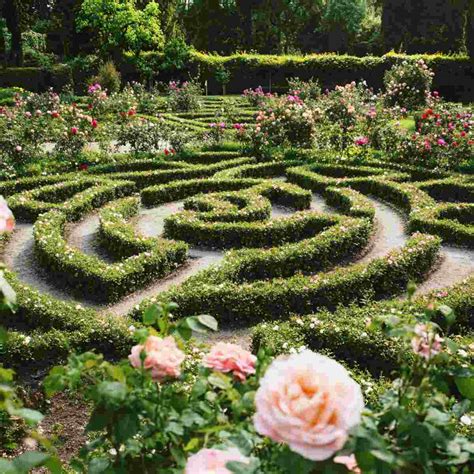 10 Stunning Botanical Maze Ideas for Your Dream Garden