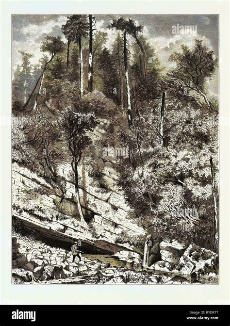 Image result for Spring Discovered in 1847 Valby