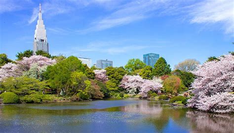 Tokyo in September 2025: Weather, Events & Top Things to Do