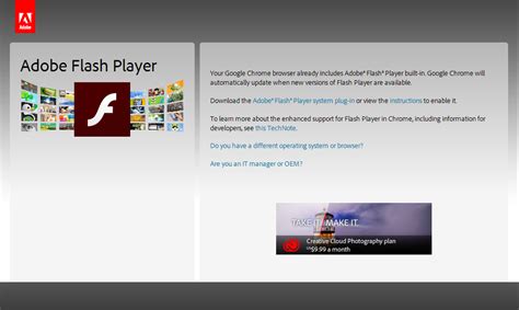 Image result for Update My Adobe Flash Player