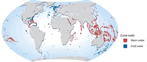 Coral Reefs and Coral Bleaching - Geography Optional for UPSC (Notes ...