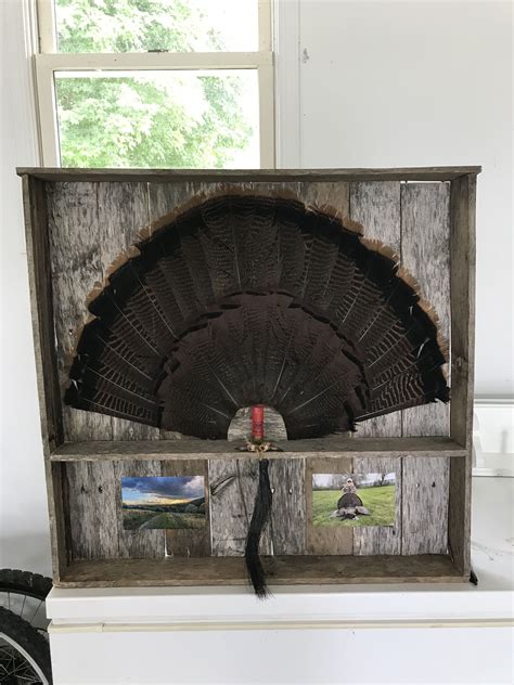 Turkey Fan Shadow Box for Hunting Decor