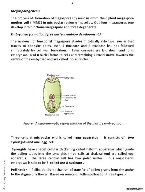 Botany Vidio 12 的图像结果