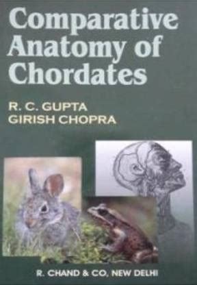 Comparative Anatomy Of Chordates: Buy Comparative Anatomy Of Chordates ...