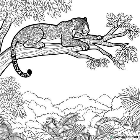 Realistic jungle animal coloring page Download or Print for free