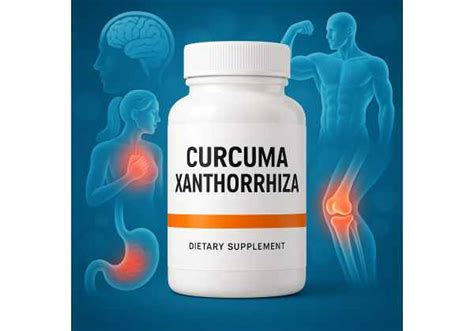 Image result for Curcuma Side Effects