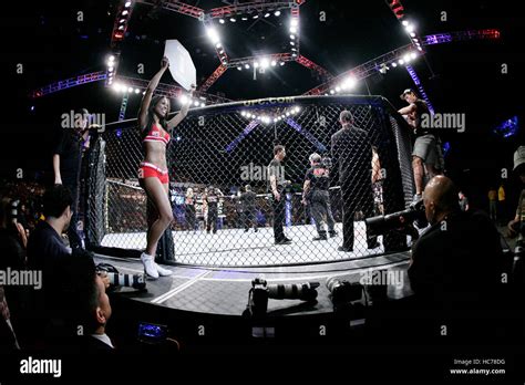 UFC Boxing 的图像结果