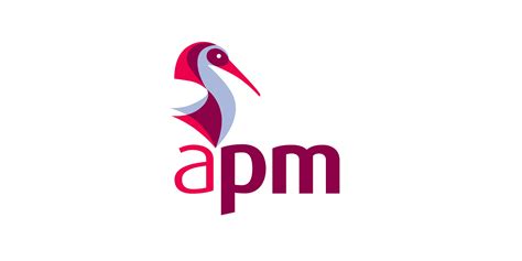 APM Project Management