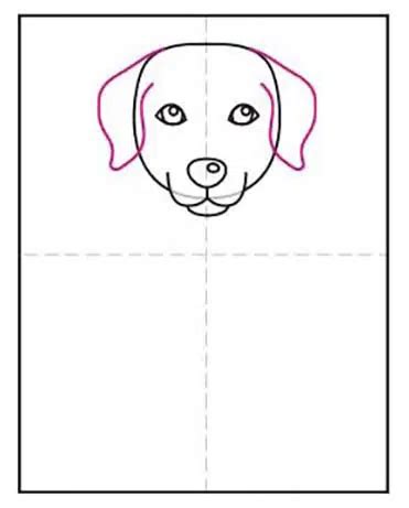 Image result for Drawing Tutorial Labrador