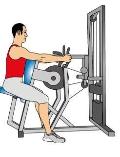 Machine Row Exercise • Bodybuilding Wizard