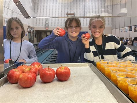 District 196 Offers Free Summer Meals and Announces Important Updates ...