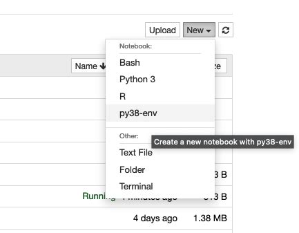 Apply Kernel Python 的图像结果