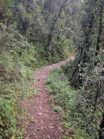 Chadwick Falls (Shimla) - 2019 What to Know Before You Go (with Photos ...