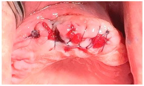 Journal of Functional Biomaterials | An Open Access Journal from MDPI