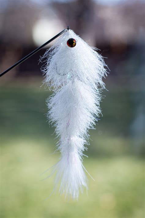 GameChanger Fly Pattern 的图像结果