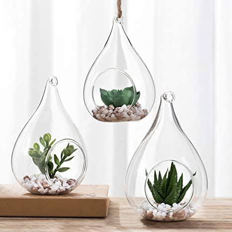 TrustBasket Triangular Tower Terrarium for Small Indoor Plants : Amazon ...