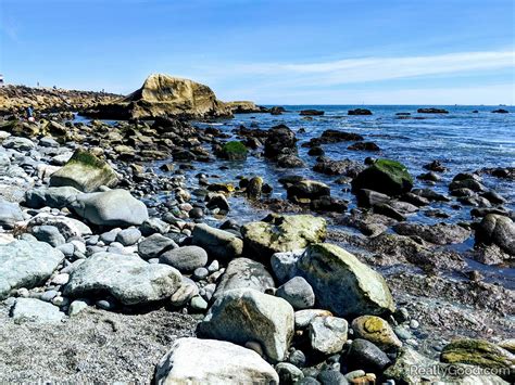 Dana Point Tide Calendar