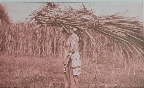 Study the picture given below. Write a short story or a description or ...