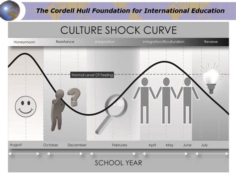 Culture Shock Example 的图像结果
