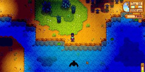 Stardew Valley: Where to Catch Perch