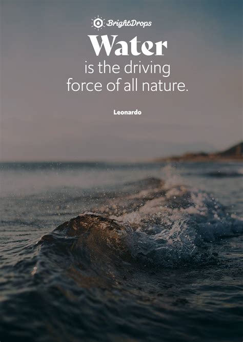 105 Inspirational Nature Quotes on Life and Its Natural Beauty