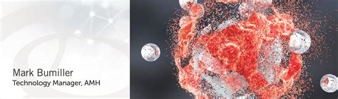 Image result for Particulate Testing