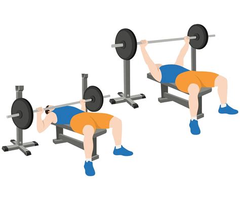 How to Do a Bench Press - 5 Variations - Illustrated Guide - Gym Geek | Bench press, Chest ...