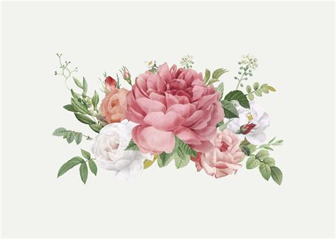 Free Flower Vector Graphics 的图像结果