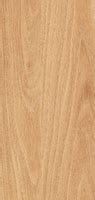 SF 9013 Kenas Walnut 8 ft x 4 ft Suede Finish Decorative Laminate - 1 ...