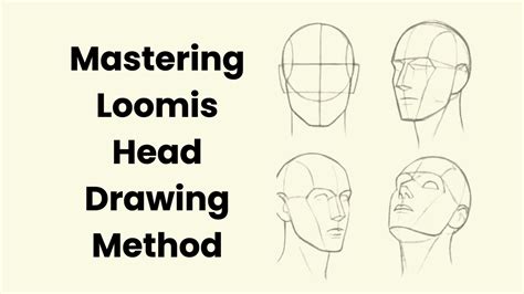 Image result for Loomis Method of Drawing