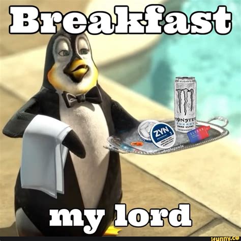 Ma Lord Memes T Shirt Corgi Meme | Tips For Original Gifts