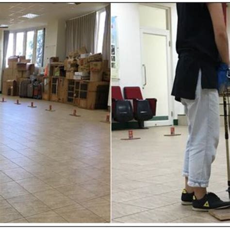 Image result for Target Training for Dogs